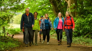 Group of walkers